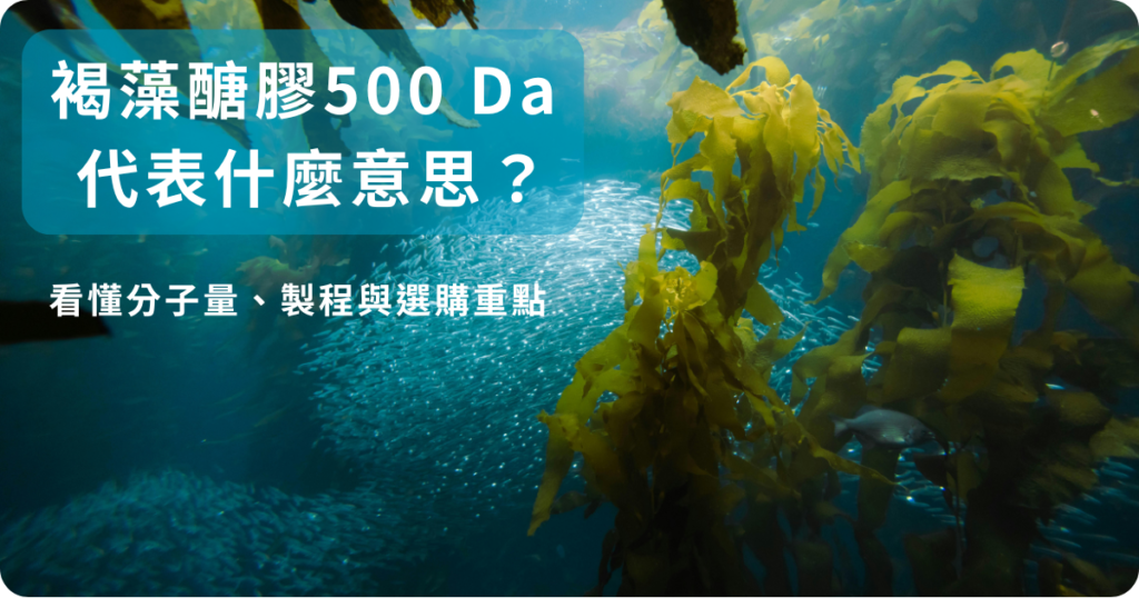 褐藻醣膠的分子量是什麼？500 Da代表什麼意思